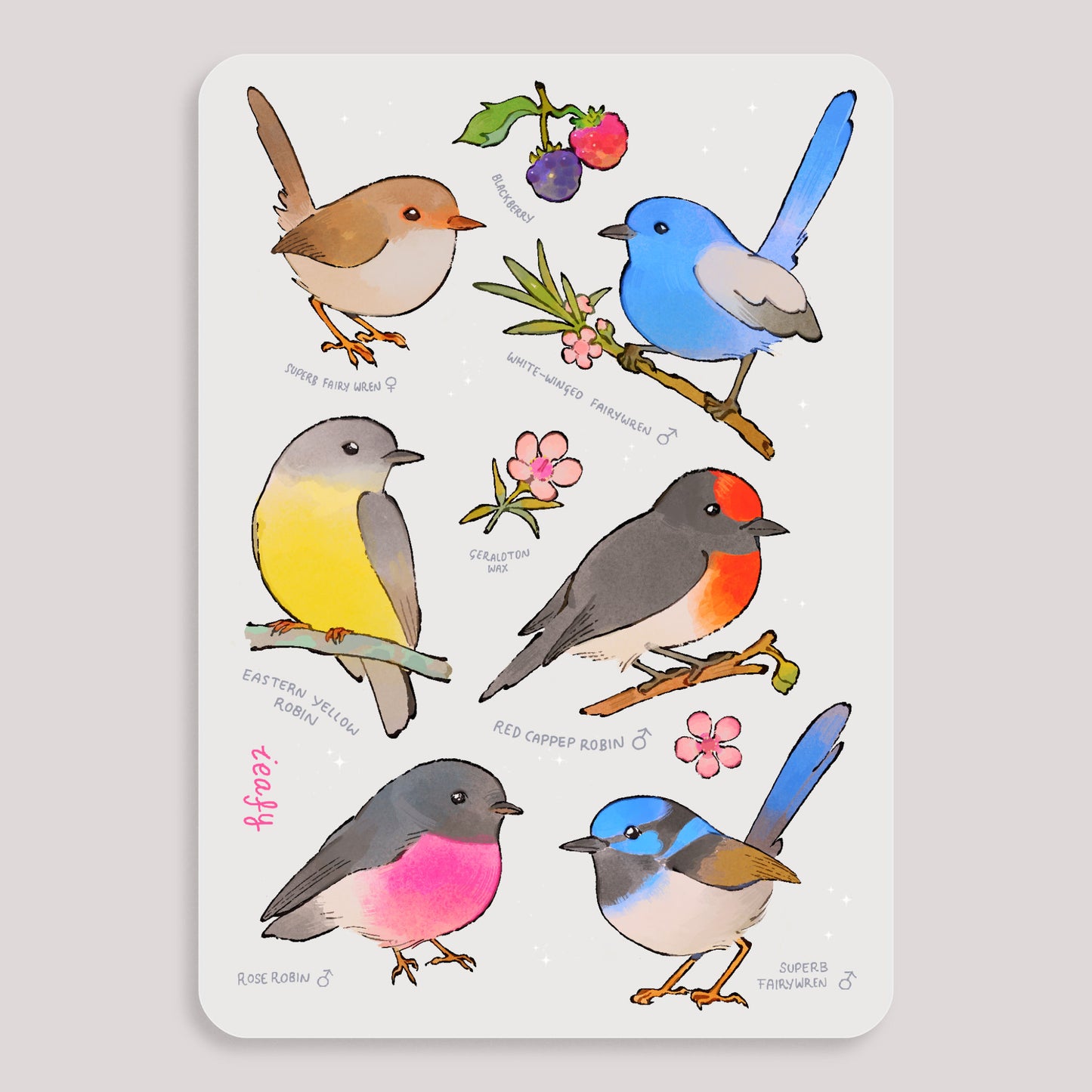 Robins and Wrens Sticker Sheet