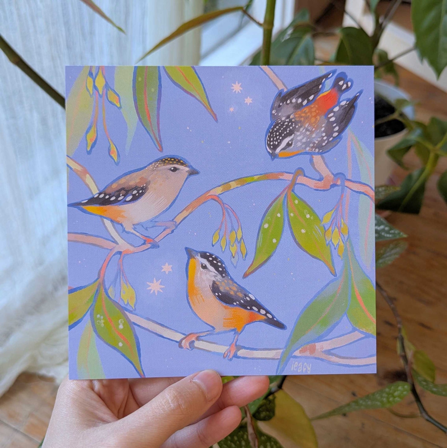 Pardalotes Print