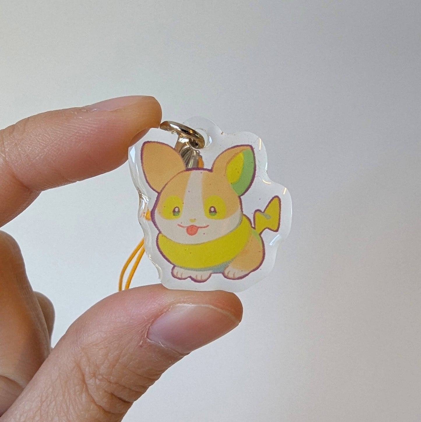 ALL NEW Pkmn Mini Charms
