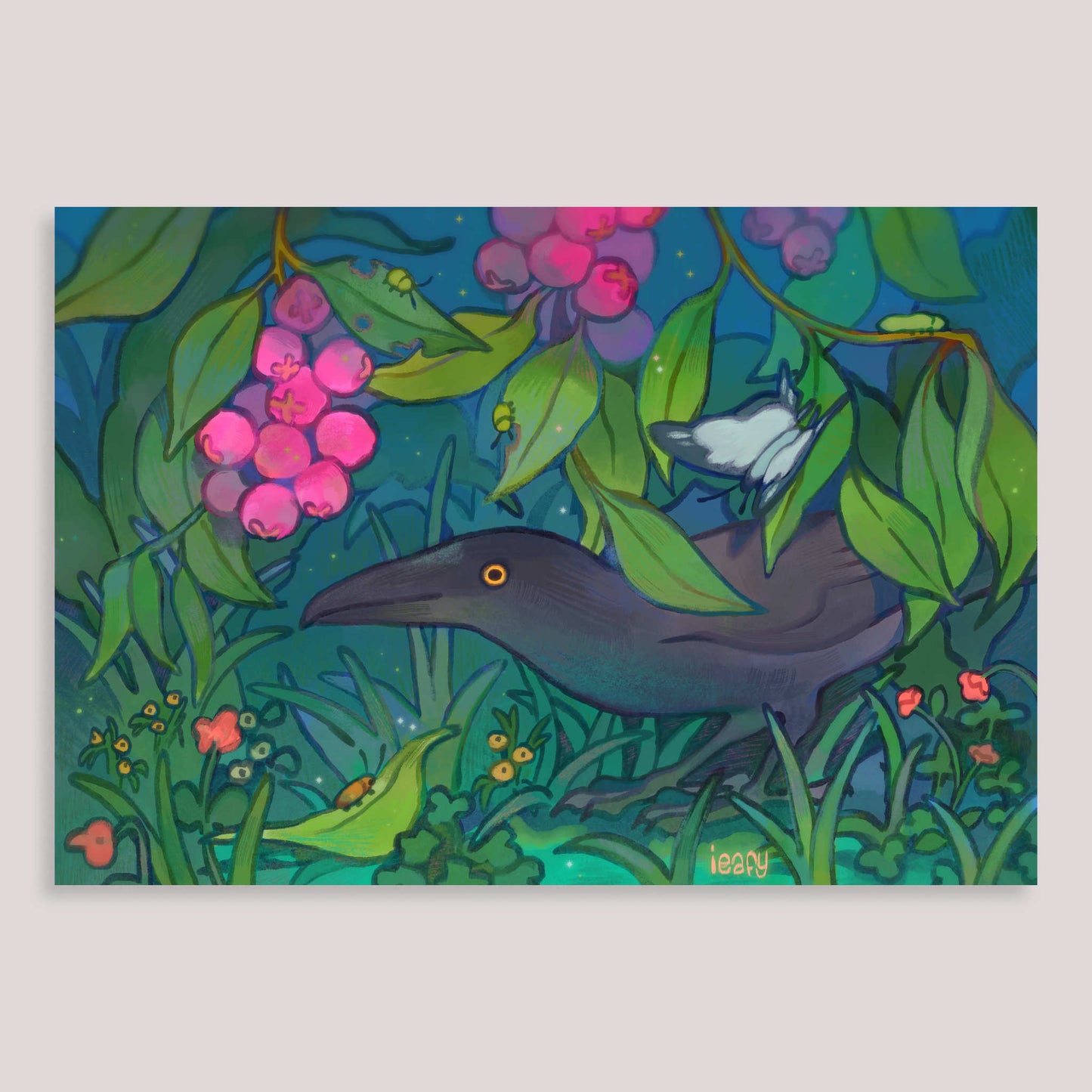 Currawong Print