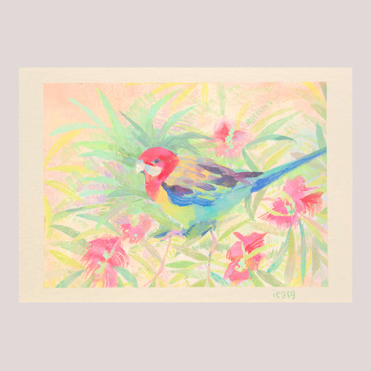 Eastern Rosella Archival Artwork Print