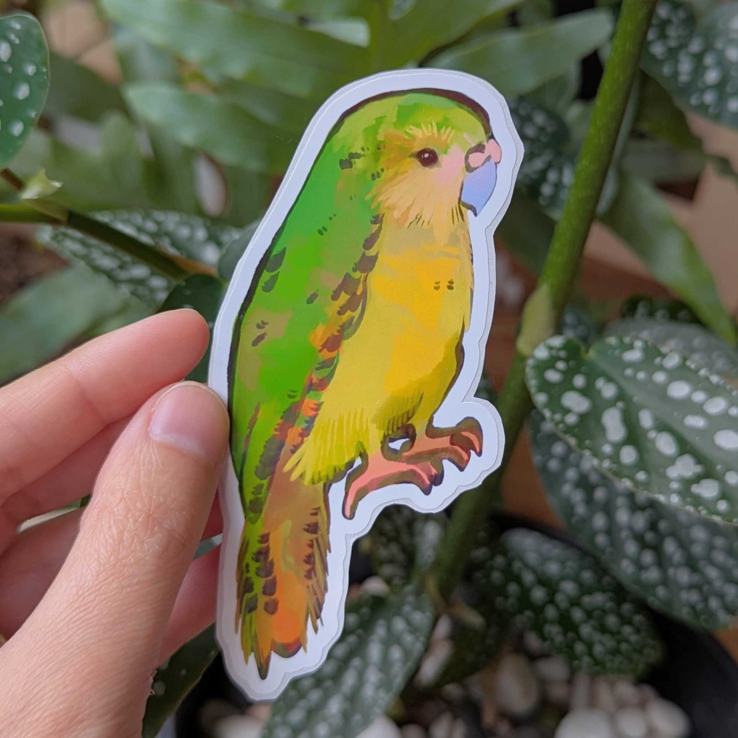 Kakapo Parrot Sticker