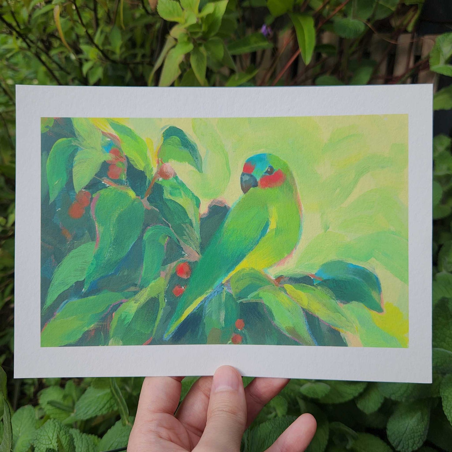 Musk Lorikeet Archival Artwork Print