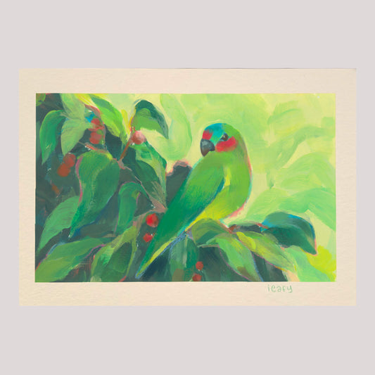 Musk Lorikeet Archival Artwork Print