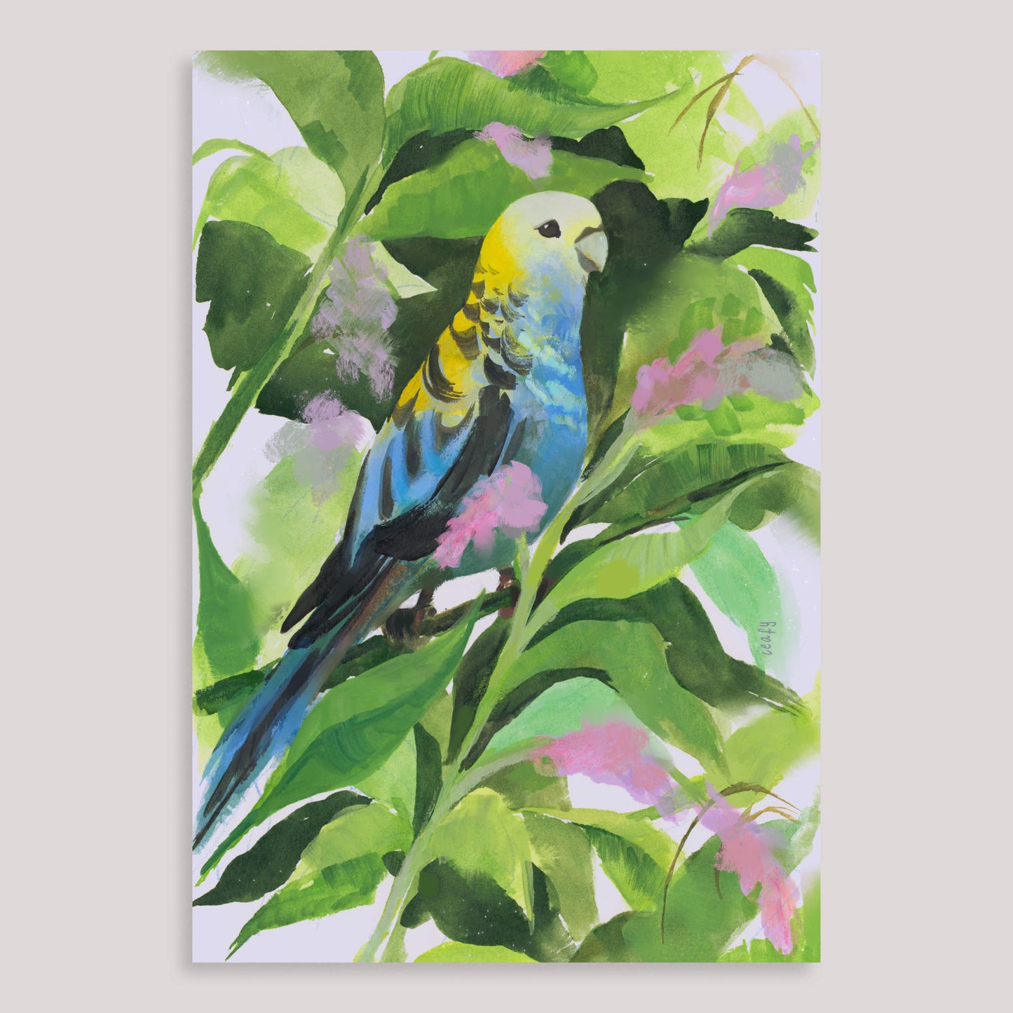 Pale-headed Rosella Print