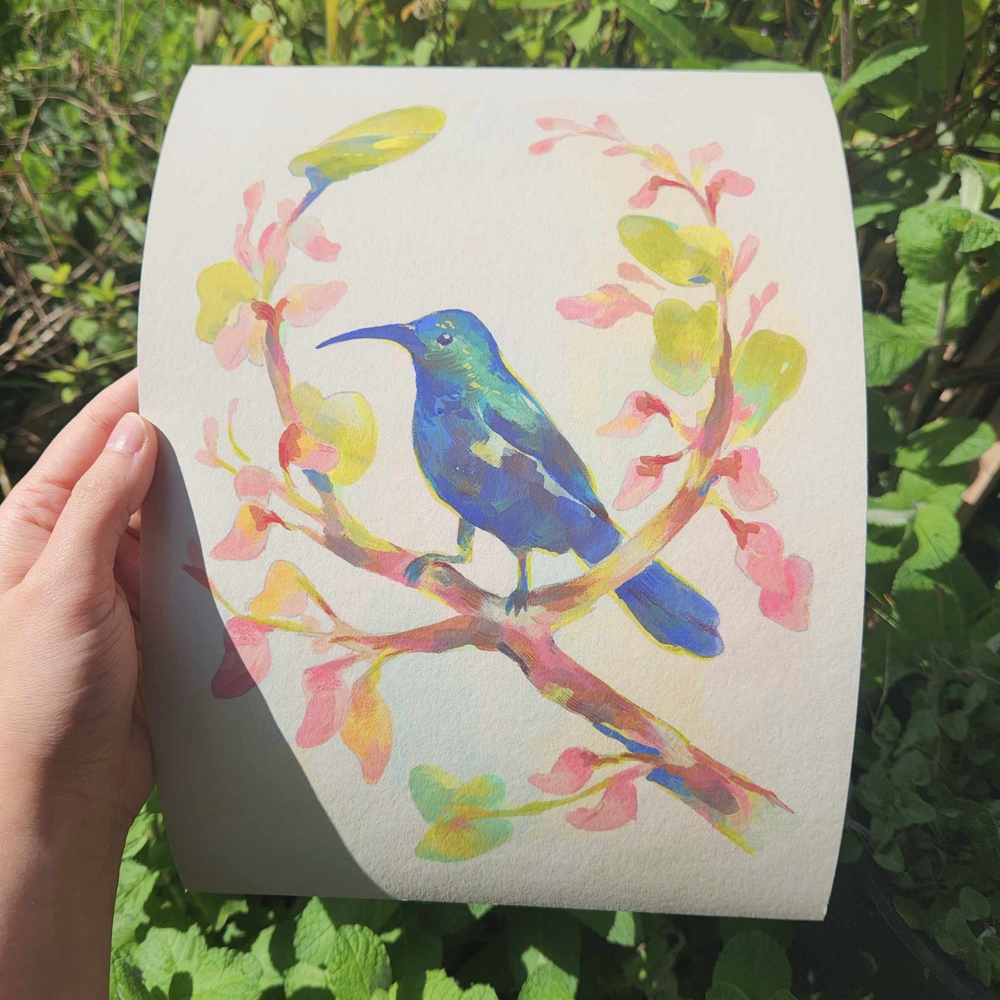 Palestine Sunbird Charity Print