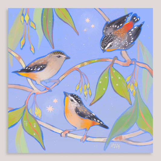 Pardalotes Print