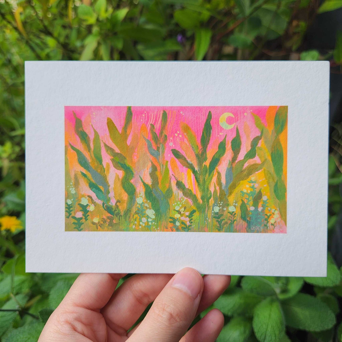 Pink Seaweed Mini Archival Artwork Print