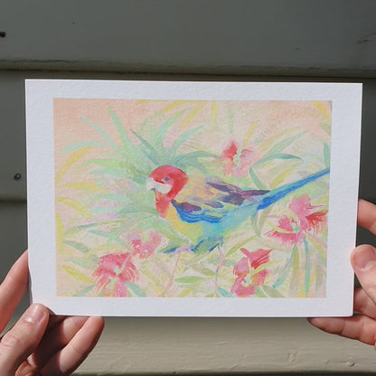Eastern Rosella Archival Artwork Print
